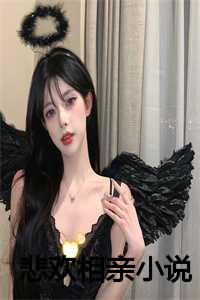 悲欢相亲小说