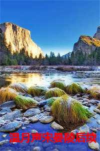 温月声宋晏陵后续