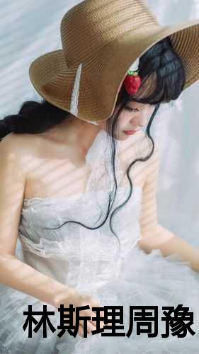 林斯理周豫最新章节