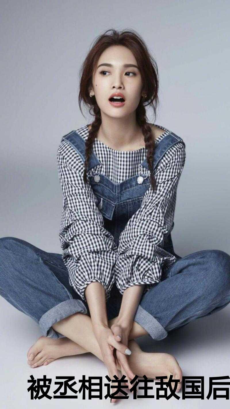 被丞相送往敌国后