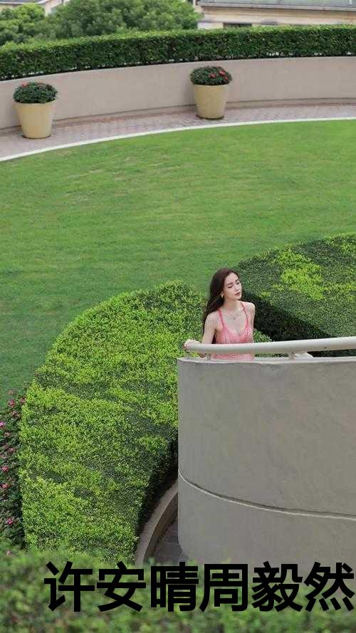 许安晴周毅然小说