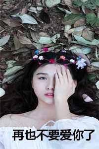 再也不要爱你了的小说