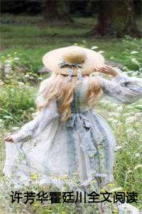 许芳华霍廷川全文阅读