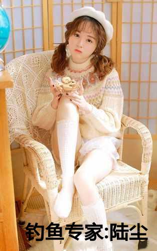 钓鱼专家:陆尘