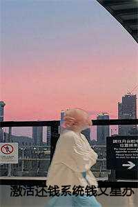 激活还钱系统钱文星苏月月