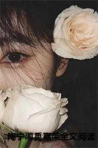 陶宁雨禹嘉荣全文阅读