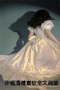许栀清傅宴钦全文阅读
