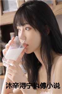 沐辛浔宁执傅小说