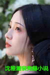 沈稚澜裴隽赫小说