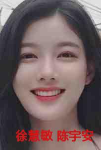 徐慧敏 陈宇安