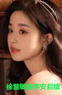 徐慧敏陈宇安后续