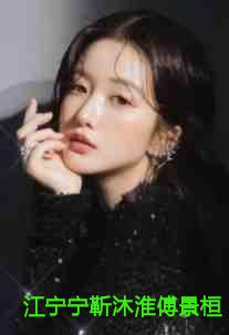 江宁宁靳沐淮傅景桓
