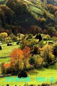 浮生未白首：完结+花絮