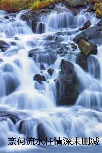 奈何流水枉情深未删减：结局+番外