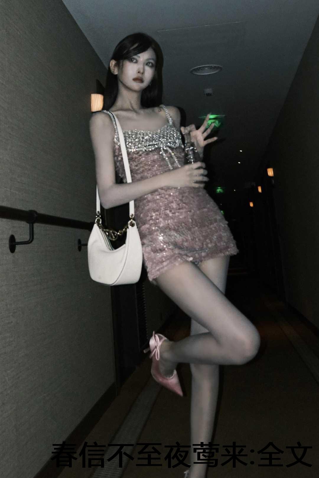 春信不至夜莺来:全文+后续+结局