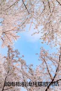 疏雨梧桐浅月朦胧完结小说:全文+后续