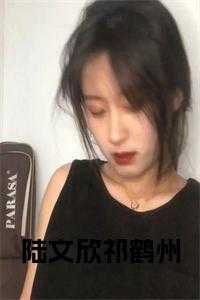 陆文欣祁鹤州免费
