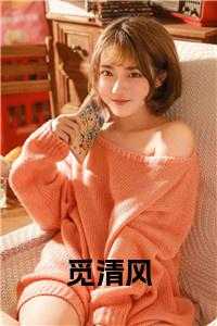 觅清风