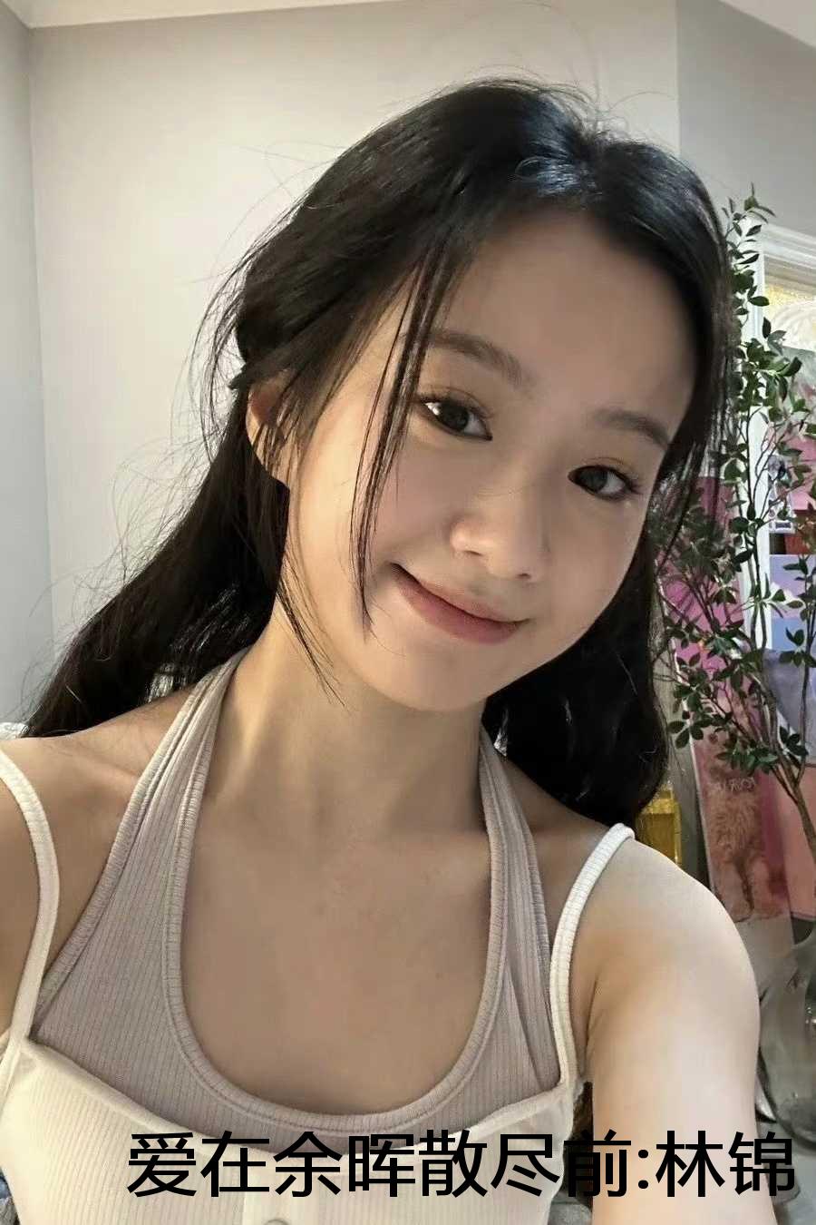 爱在余晖散尽前:林锦承安洛瑶全文无删减