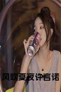 风吹夏夜许言诺