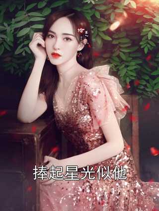捧起星光似他