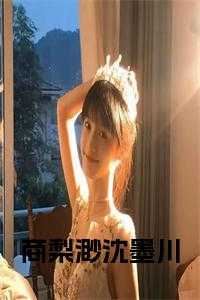 商梨渺沈墨川完结