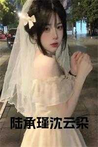 陆承瑾沈云染