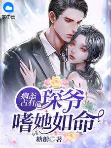 必读文官道权术：从秘书开始问鼎仕途巅峰完结