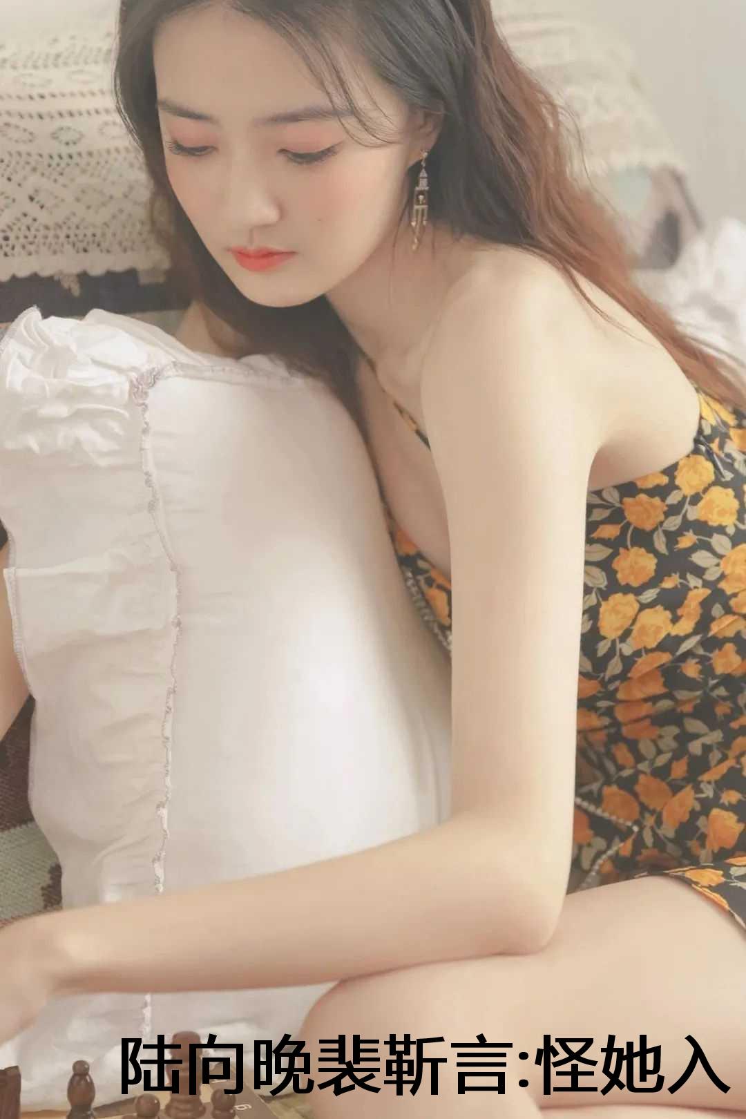 陆向晚裴靳言:怪她入戏太深小说