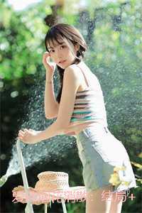 爱随烟花消散：结局+番外