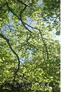 自是有情痴，不关风与月,顾君屹陆璟瑶