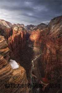 偏我去时春满城：结局+番外+后续,阮清影周时夜