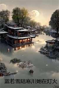 蓝若雪陆寒川她在灯火阑珊处：全文+后续+结局