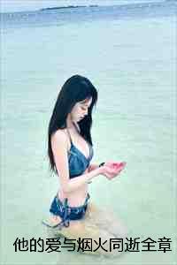 他的爱与烟火同逝全章+番外