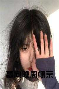 慕向晚周翊京小说免费