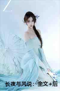 长夜与风说:全文+后续+大结局