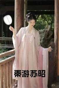 秦游苏昭书名的小说