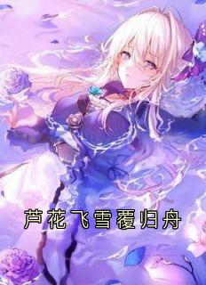 芦花飞雪覆归舟