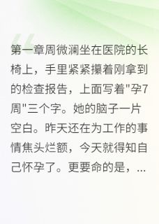 意外怀孕后我成了团宠