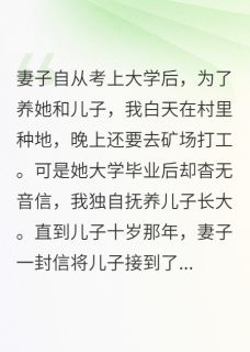 我帮儿子讨公道,妻子反送我入狱