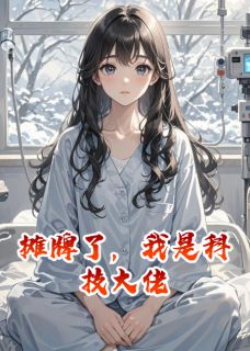 摊牌了，我是科技大佬