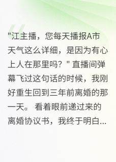 前夫播了1095天我的城市天气