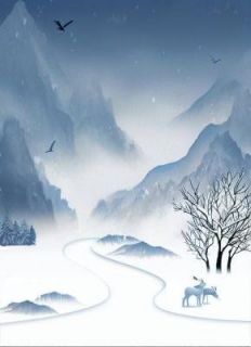 绝症离婚后，真千金她杀疯了