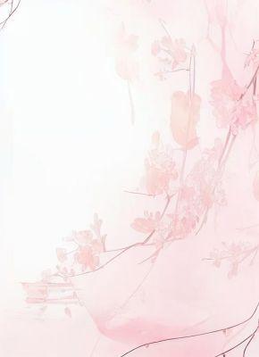 心机女抢走军功，却不知我是女扮男装