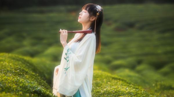 《韩阳江若曦》免费阅读 离婚后，绝美女总裁带娃找上门小说在线阅读