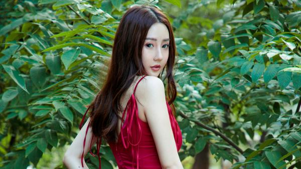 何以笙萧忆倾全本资源（梧桐树下梦相思全文+后续）全章节小说无删减阅读_何以笙萧忆倾全文免费阅读无弹窗大结局（梧桐树下梦相思全文+后续）