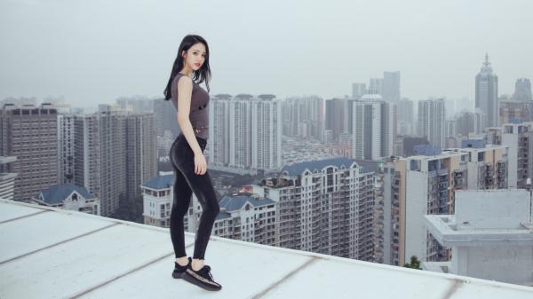 《我胆小如鼠》小说章节免费阅读 杨高吕前进小说阅读