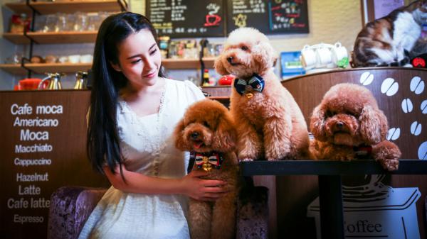 《不朽仙婿》孟恺慕星彤小说在线阅读