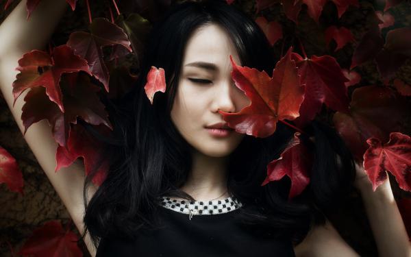主角是一朝开悟，当个富一代合理吧的小说 《陶杰杨琳》 全文精彩阅读