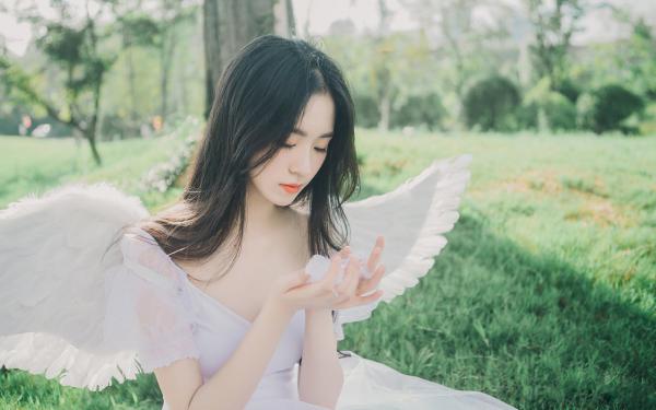 《沈可欣苏晚晚江城》大结局精彩阅读 《沈可欣苏晚晚江城》最新章节列表